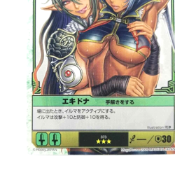 373 Echidna & Irma Teaching Queen's Blade The Duel Trading Card 2009 Japan Anime - Image 5
