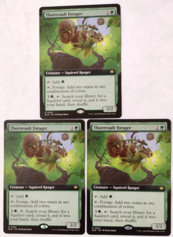 3x Thornvault Forager (Extended Art) - Bloomburrow (BLB) - EN - R 0364 - Image 1