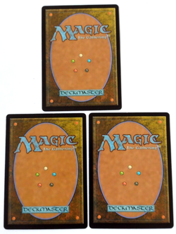 3x Thornvault Forager (Extended Art) - Bloomburrow (BLB) - EN - R 0364 - Image 2