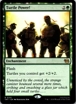Turtle Power! 0135 Rare Teenage Mutant Ninja Turtles Magic: The Gathering NM - Image 1