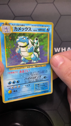 Pokemon Japan - Blastoise - No. 009 - Holo - Expansion Pack - Image 2