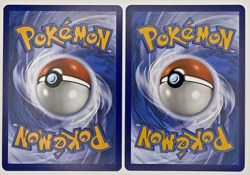 Froakie 039/142 + Frogadier 040/142 Reverse Holo Stellar Crown Pokemon TCG - Image 2