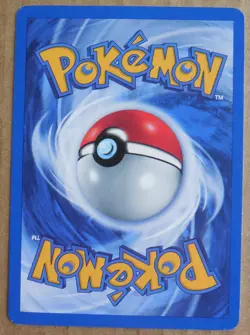 Brock Protection 101/132 Rare Non-Holo Gym Challege Set Pokemon Trainer Card NM - Image 4