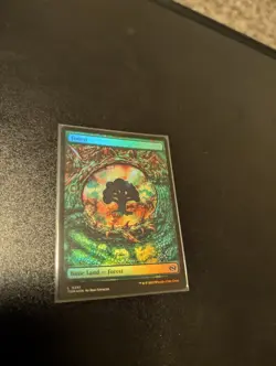 Forest (0291) Tarkir: Dragonstorm Foil - Image 1
