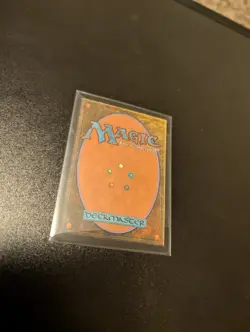 Forest (0291) Tarkir: Dragonstorm Foil - Image 2