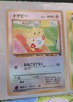 Open Pokemon Southern Rainbow Island Riverside Japanese Promo Set 1999 - Image 4