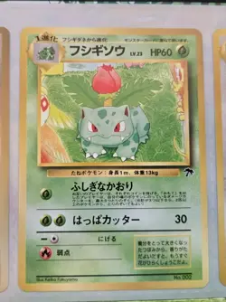 Open Pokemon Southern Rainbow Island Riverside Japanese Promo Set 1999 - Image 5
