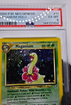 2000 POKEMON NEO GENESIS MEGANIUM 11 HOLO UNLIMITED EX MT FRESH PSA 6 - Image 2