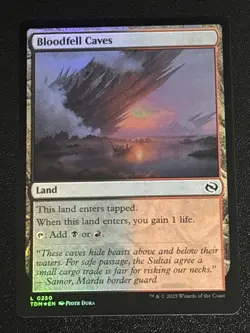 MTG Tarkir: Dragonstorm Bloodfell Caves Foil 0250 NM - Image 1