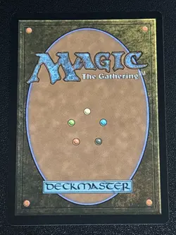 MTG Tarkir: Dragonstorm Bloodfell Caves Foil 0250 NM - Image 2