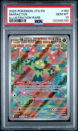MARACTUS #160 PSA 10 GEM MINT • 2025 Pokemon Journey Together Illustration Rare - Image 3