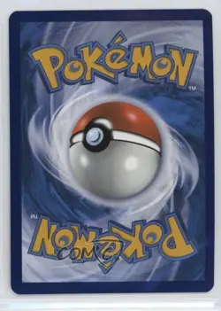Pikachu (Paldea Adventure Chest) Holo Pokemon Scarlet & Violet Black Star Promo - Image 2