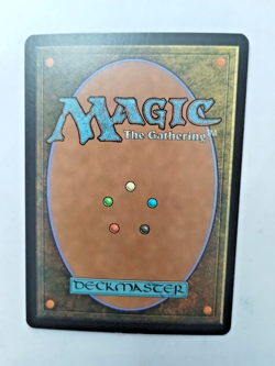 MTG Serum Visions Fifth Dawn 36/165 Regular Common - Uncirculated - Image 3