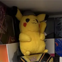 Entire Pokemon Collection for sale ( Cards and Other Accessories) - Image 1
