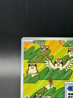 2023 Pokemon TCG PIDGEY 207/197 Illustration Rare Holo Obsidian Flames 🔥 - Image 2
