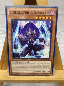 Yu-Gi-Oh Duelist’s Advance 1st Edition Lot Lunalight Silver Hound Black Layer - Image 4