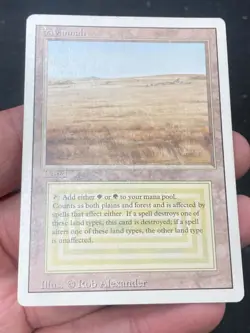 ***Savannah (Indent)*** MTG Revised Magic Kid Icarus - Image 3