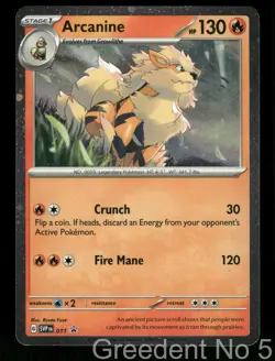 Arcanine 011 Holo Promo Scarlet & Violet Promo Pokemon Near Mint - Image 1