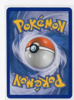 Pokemon Gyarados Rare Stormfront 19/100 NM WOTC Vintage - Image 2