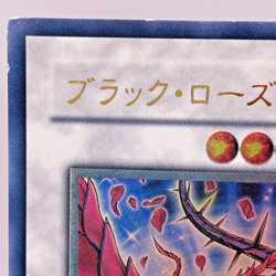 Yugioh Black Rose Dragon Ultimate Rare CSOC-JP039 Japanese - Image 3