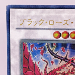 Yugioh Black Rose Dragon Ultimate Rare CSOC-JP039 Japanese - Image 3