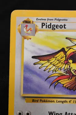 Pidgeot 24/64 MP Jungle Regular Rare Unlimited Pokemon TCG Card - Image 2