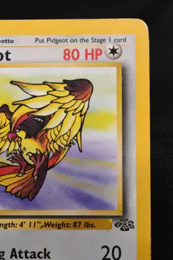 Pidgeot 24/64 MP Jungle Regular Rare Unlimited Pokemon TCG Card - Image 3
