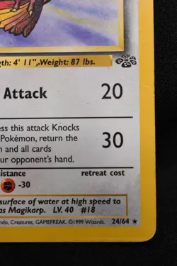 Pidgeot 24/64 MP Jungle Regular Rare Unlimited Pokemon TCG Card - Image 4