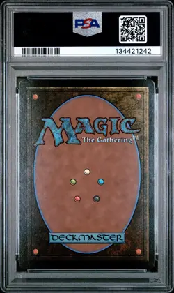 2025 MTG FINAL FANTASY THROUGH THE AGES FOIL #0015 PRINCESS SARAH PSA 10 - Image 2