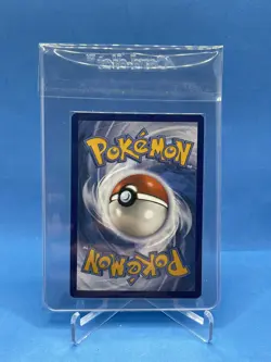 Bloodmoon Ursaluna ex 202/167 Twilight Masquerade NM 2024 Pokemon TCG - Image 2