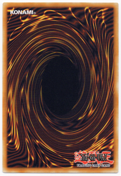 Dracotail Phryxul DOOD-EN023 Secret Rare NM Yu-Gi-Oh! TCG #1 - Image 2