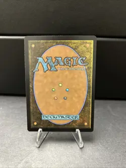 Pollywog Prodigy - 15 - NM - Commander: Bloomburrow - MTG - Image 2