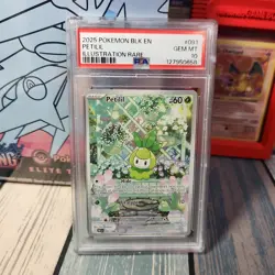 2025 POKEMON BLK EN-BLACK BOLT ILLUSTRATION RARE #091 PETILIL PSA 10 IR POP 100 - Image 1