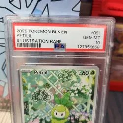 2025 POKEMON BLK EN-BLACK BOLT ILLUSTRATION RARE #091 PETILIL PSA 10 IR POP 100 - Image 2