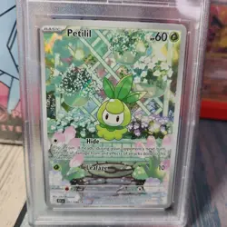 2025 POKEMON BLK EN-BLACK BOLT ILLUSTRATION RARE #091 PETILIL PSA 10 IR POP 100 - Image 3