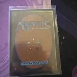 Scrubland Revised MTG nm - Image 4