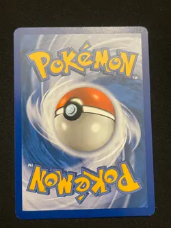 Pokemon Piloswine Uncommon Stormfront 46/100 NM - Image 2