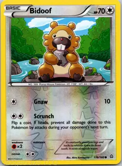 Bidoof 116/160 Common Primal Clash Pokemon Reverse Holo NM - Image 1