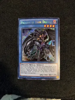 Yugioh Paladin of Dark Dragon DRL2-EN018 1st Edition Secret Rare NM - Image 1