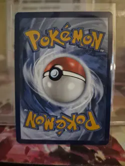 Pokemon TCG - Eevee SVP 173 Pokemon Center Exclusive PC ETB Promo Sealed - Image 2