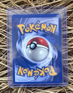 Brock's Rhydon 2/132 Gym Heroes Holo Unlimited Rare Pokemon TCG MP - Image 2