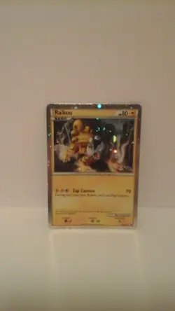 Pokemon TCG Shiny Raikou Collector's Tin with Shiny Raikou Promo Card - Image 4