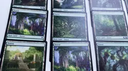 Lot of 29 MTG Magic the Gathering Basic Land Cards Forest 2017 Wizards of Coast - Image 3