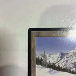 MTG Beta Taiga Dual Land Mint - Image 2