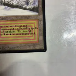 MTG Beta Taiga Dual Land Mint - Image 4