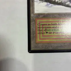 MTG Beta Taiga Dual Land Mint - Image 5