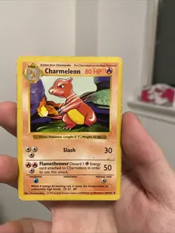 Charmeleon 24/102 Shadowless Base Set MP Uncommon Unlimited Pokemon - Image 1