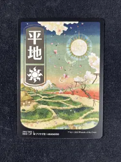 Plains (293) - JP Full Art Kamigawa: Neon Dynasty Regular NM - Image 1