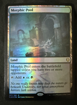 Magic the Gathering Morphic Pool Foil Rare Land from Baldur's Gate - Image 1