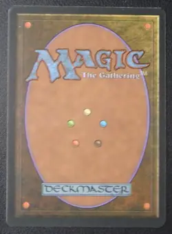 MTG Magic Ice Age Adarkar Wastes LP - Image 2